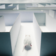 Illustration for article titled Neuroscientists successfully control the dreams of rats. Could humans be next?